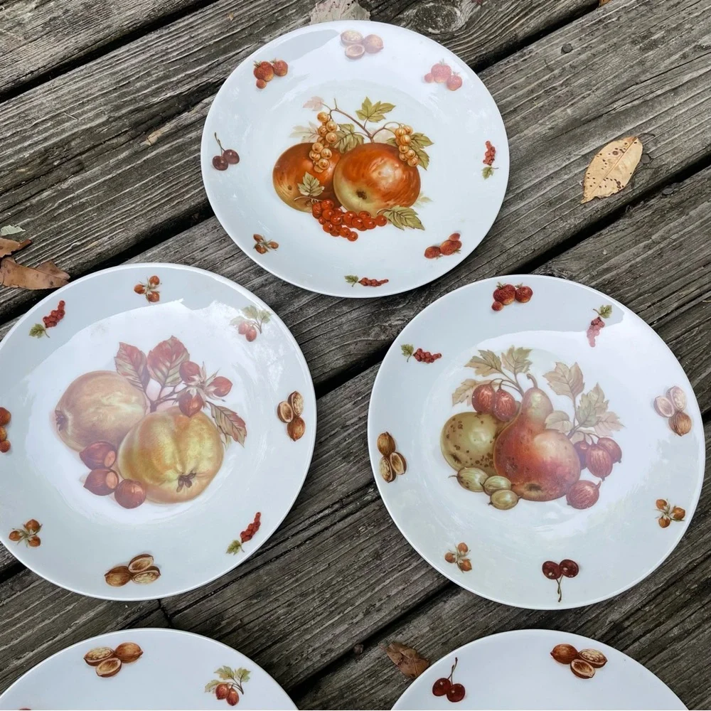 Five Vintage Bavaria Fruit Plates White Porcelain Debra Germany - Set of 5